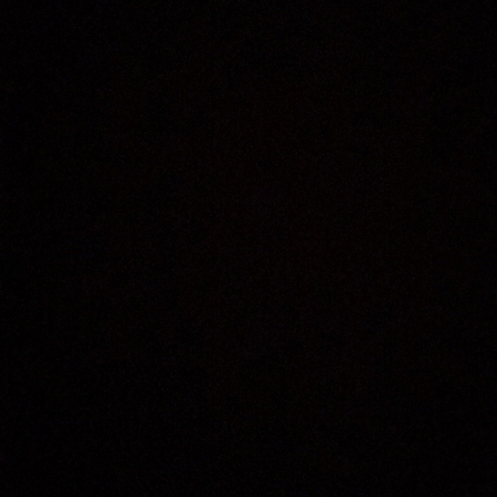 Meet your Posher, Rosey